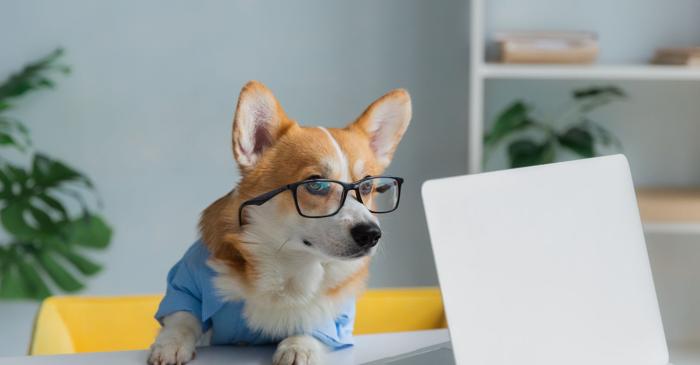 Petabyte-ul urmează după terabyte în ierarhia unităților de stocare a datelor