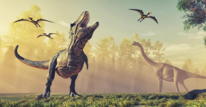 A existat iarbă pe vremea dinozaurilor?