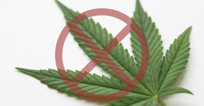 Cea mai mare analiză a studiilor despre cannabis nu a găsit dovezi pentru anxietate sau depresie