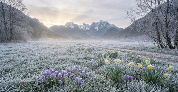 Un fenomen din stratosferă îngheață Europa de Nord în plină primăvară