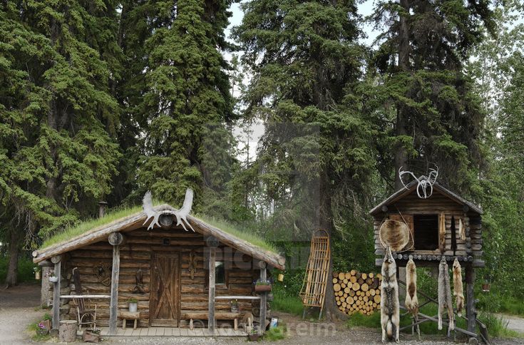 Tracing Ancient Footsteps: A Journey into Athabascan Traditional Trails ...