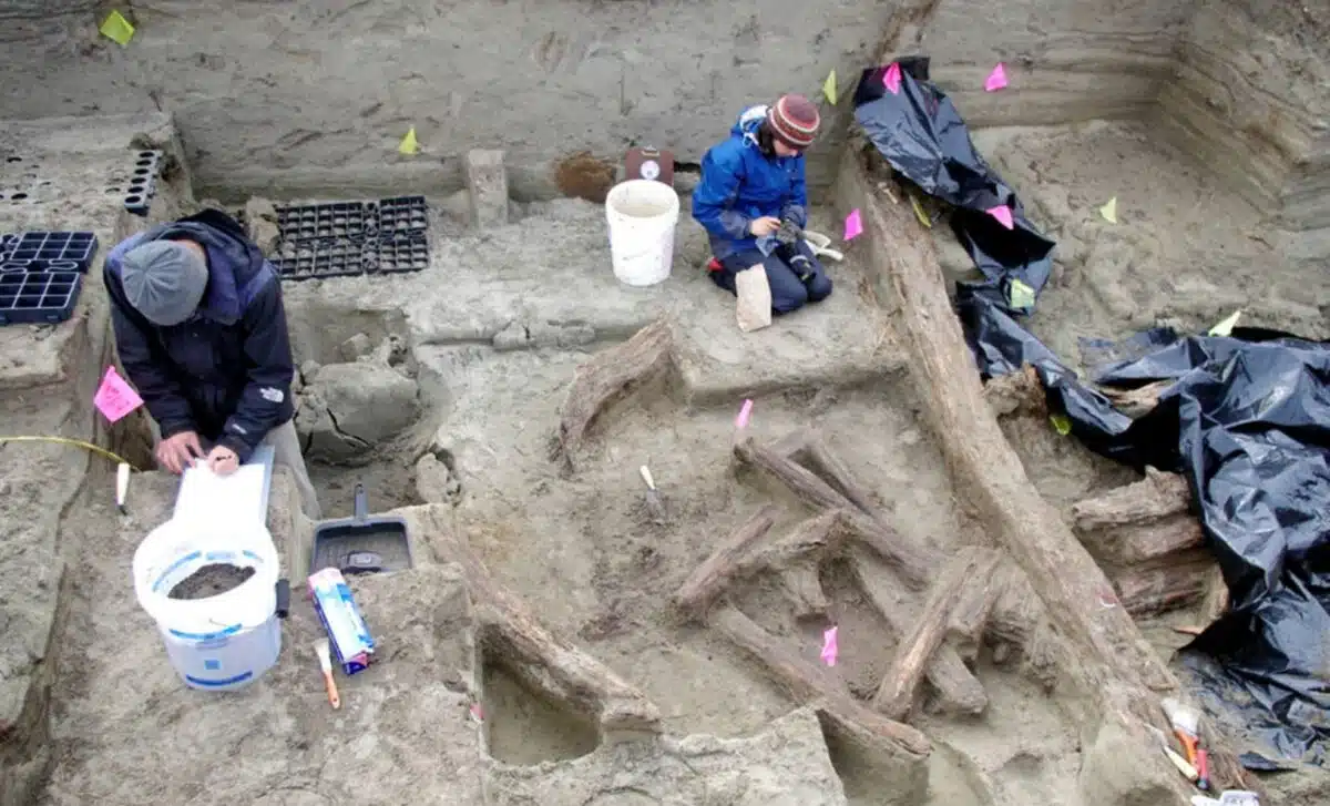 Archaeologists Excavated A 1,000 Year Old House In Alaska And Found A Bronze Object That Shouldn’t Have Been There