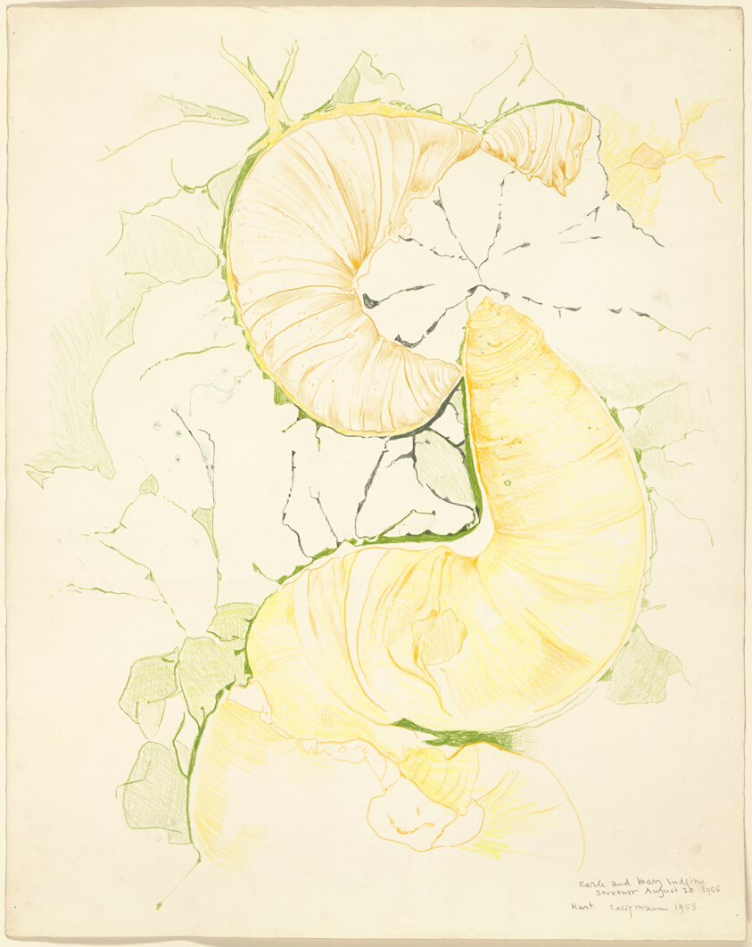 Untitled (1955) // Kurt Seligmann American, born Switzerland, 1900-1962